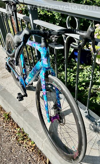 Specialized diverge expert - 6