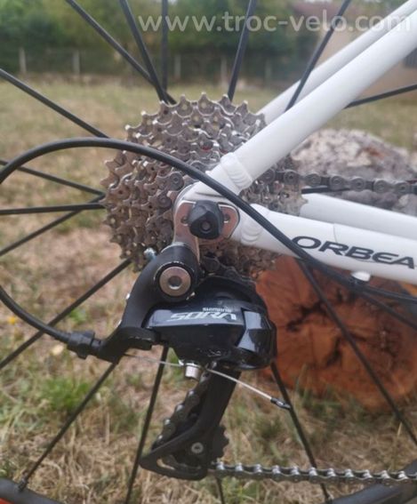 Orbea H50 - 2