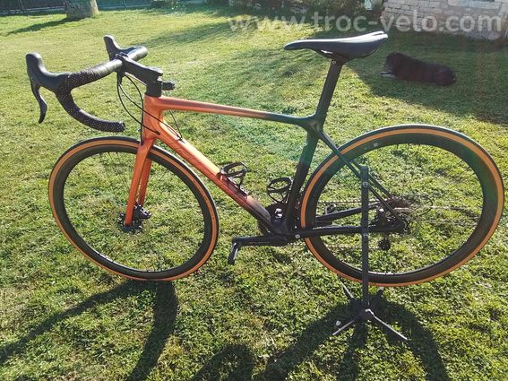GIANT TCR  - 2