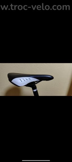 Selle Fizik Rondine - 2
