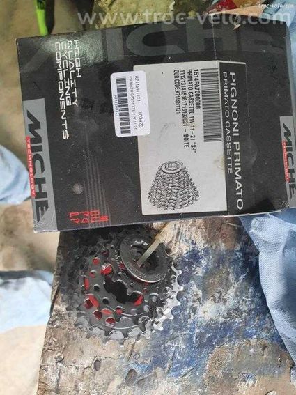 Cassette miche primatiale
