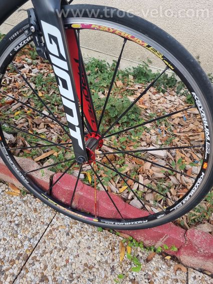 Giant propel  - 4