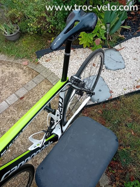 CANNONDALE SYNAPSE  - 2