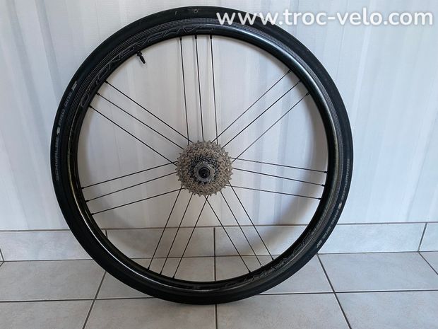 roue campagnolo bora WTO 33 arrière - 1