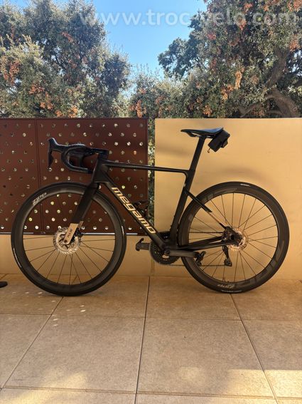 Megamo pulse 2025  - 2