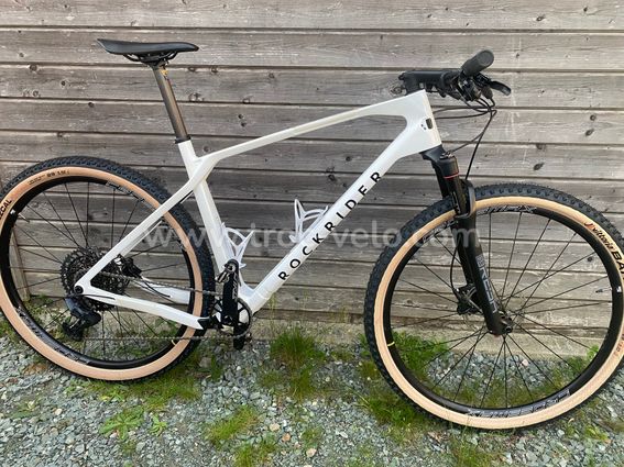 VTT ROCKRIDER cross country 900 GX Eagle - 3