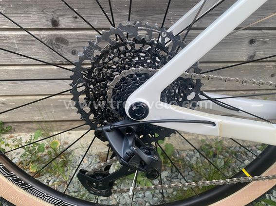 VTT ROCKRIDER cross country 900 GX Eagle - 4
