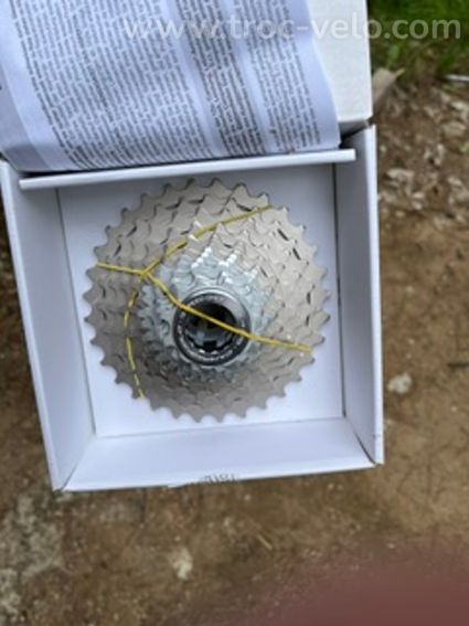 cassette Campagnolo 12v
