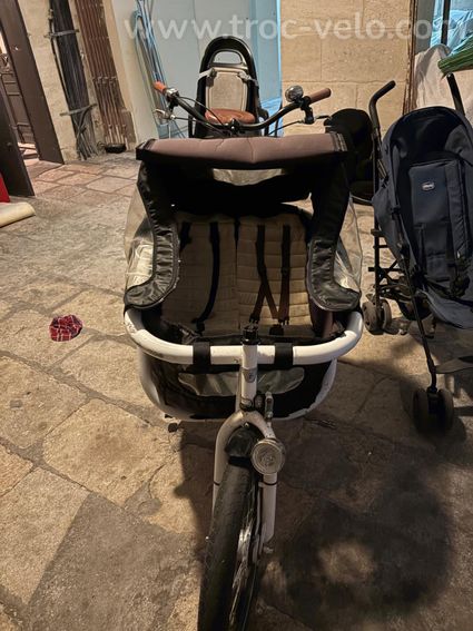 Vente triporteur à saisir rapidement - 2