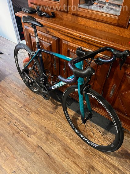 Orbea orca