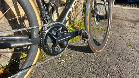 Orbea orca - 2
