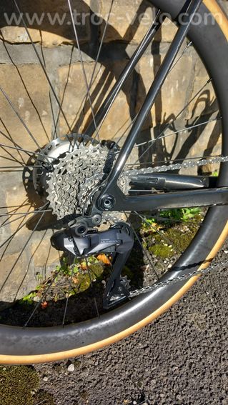 Orbea orca - 3