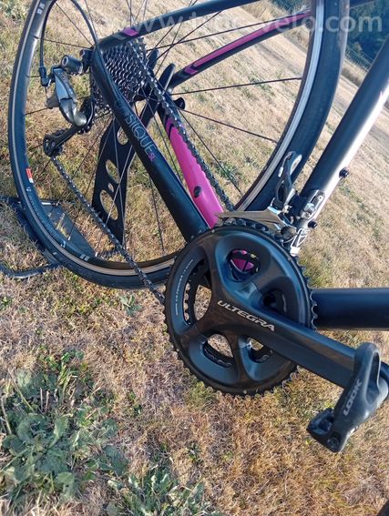 Vélo de route femme Trek Silque SL Carbone – Taille M – Full shimano Ultégra - 3