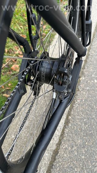 Tandem Hase Pino - 2