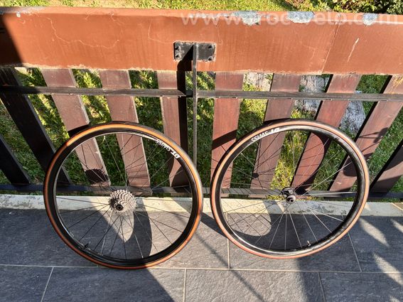 Roues DT SWISS MON CHASSERAL DISQUE - 5
