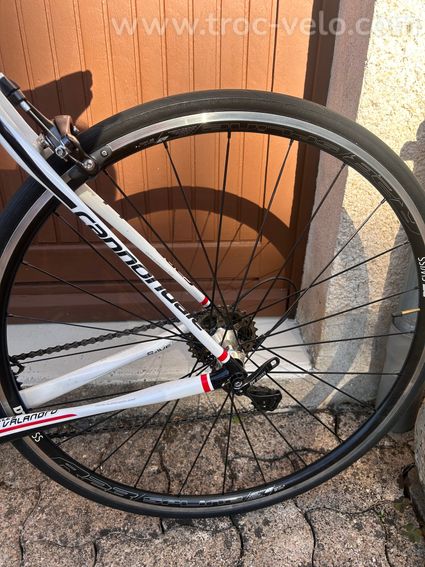 Cannondale Synapse T54 - 14
