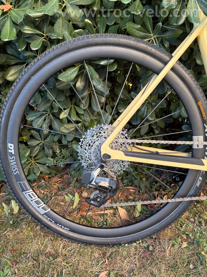 Gravel Canyon Grail CF SL 7 AXS - 5