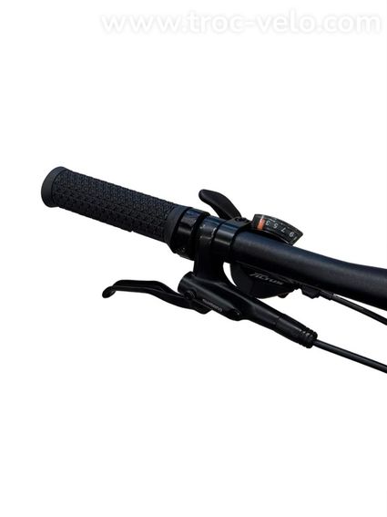 Focus Planet² 5.9 Vélo électrique Shimano Alivio 2021 - 5