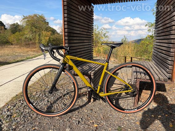 Cannondale Topstone SM - 2