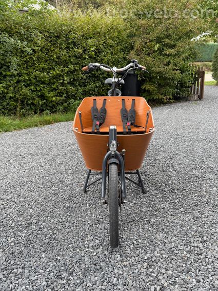Vélo Cargo biporteur électrique Babboe Mini Mountain - Batterie 400Wh - Moteur Yamaha - 3