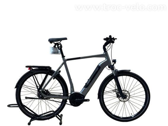 Rose Xtra Watt EVO Plus 2 Vélo électrique Shimano Alfine 2023