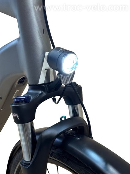 Rose Xtra Watt EVO Plus 2 Vélo électrique Shimano Alfine 2023 - 4