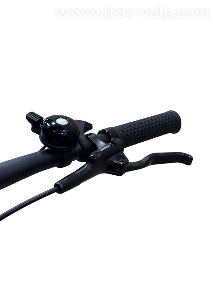 Rose Xtra Watt EVO Plus 2 Vélo électrique Shimano Alfine 2023 - 7