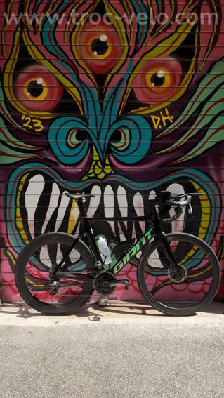 GIANT Propel Advanced Pro 0 Disc - 2