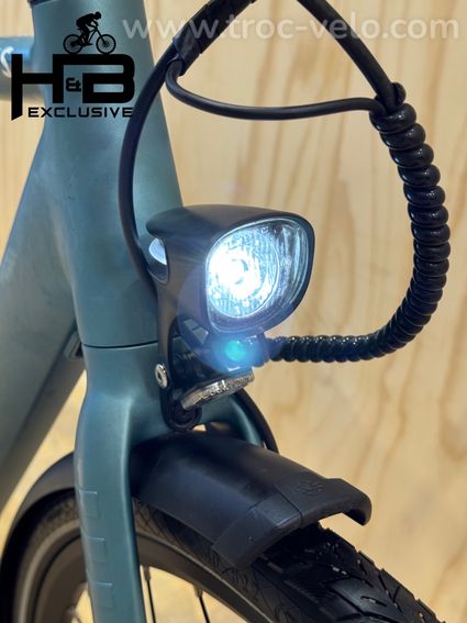 Tenways CGO600 Vélo électrique Single-Speed 2022 - 4