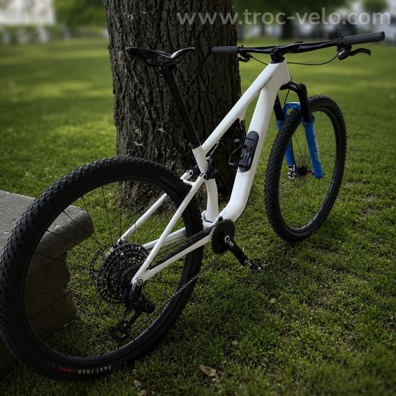 Specialized Epic 8 Pro - 2