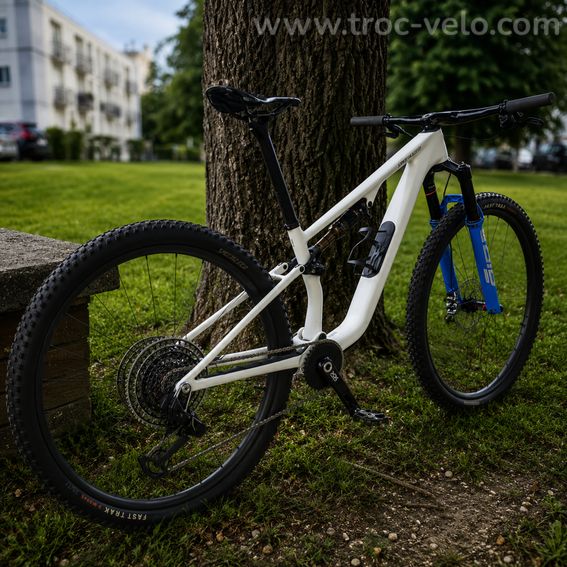 Specialized Epic 8 Pro - 3