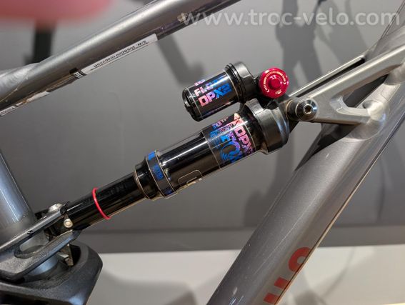 SPECIALIZED STATUS - 4