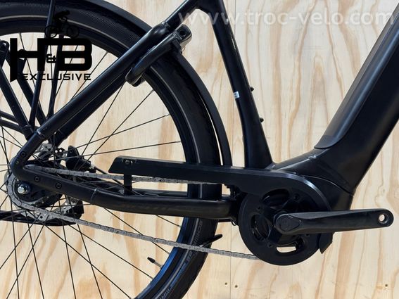 Giant DailyTour E+ 2 LDS Vélo électrique Shimano Nexus 2023 - 13