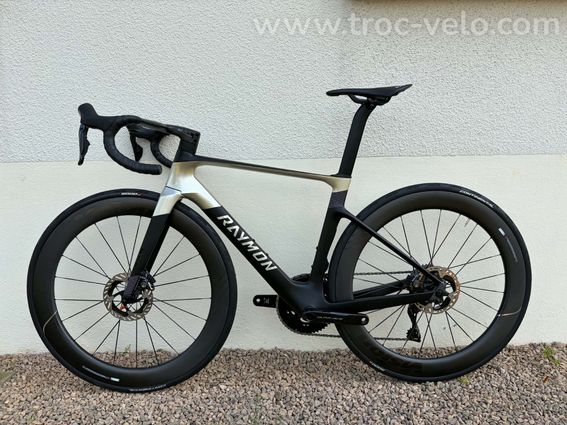 Raymon Arva Ultimate - 4