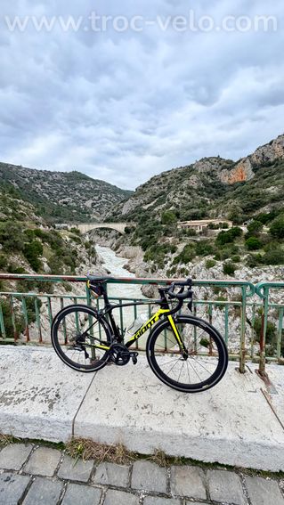 Vends Giant TCR advanced OM - 4
