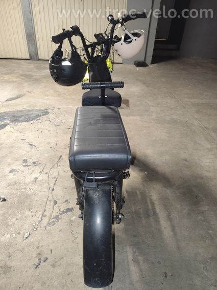 Vélo cargo américain Rad Runner 2 - 3