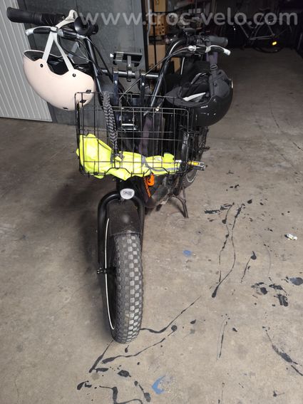 Vélo cargo américain Rad Runner 2 - 4