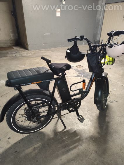 Vélo cargo américain Rad Runner 2 - 5