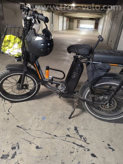 Vélo cargo américain Rad Runner 2 - 6