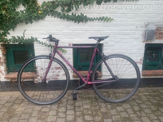 Single speed Focale 44 - 2