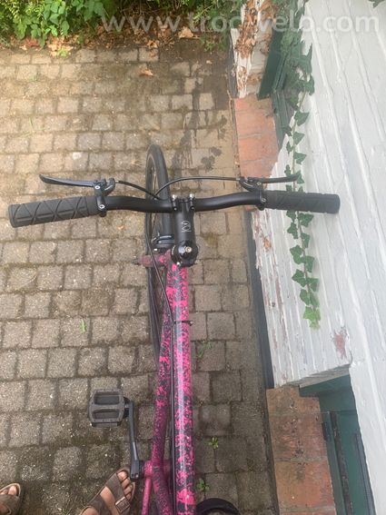 Single speed Focale 44 - 4