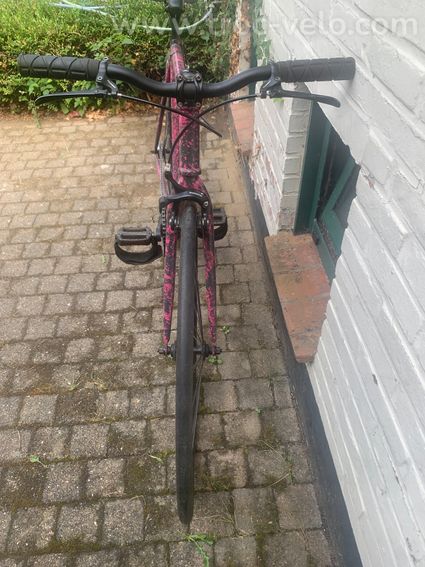 Single speed Focale 44 - 10