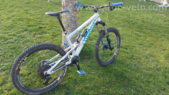Canyon torque EX gapstar  - 8