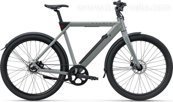 Velo De Ville Electrique Raleigh One Courroie Mono Vitesse 27 5 Gris T Unique 165 190cm Produit Reconditionne