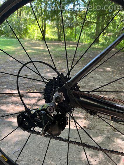 Ridley carbone route – Shimano 105 -  Vélo de route carbone Ridley (modèle Liz C / Fenix) - 5