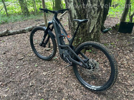 Canyon Torque ON - 3