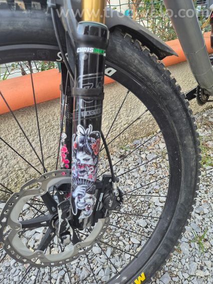 CANYON SPECTRAL AL 8.0 - 6