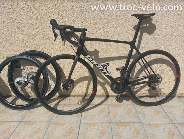 GIANT TCR ADVANCED PRO 1 DISC L - 1