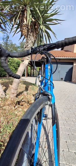 Giant contend 1 - 3