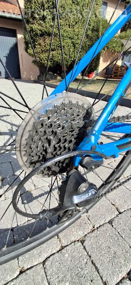 Giant contend 1 - 4